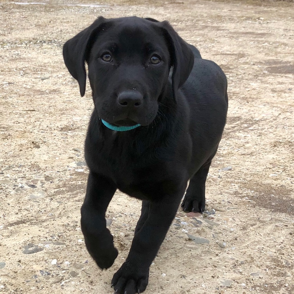 Meet your Posher, Hannah